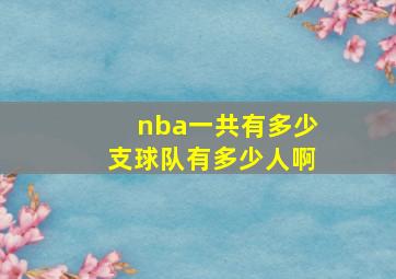 nba一共有多少支球队有多少人啊