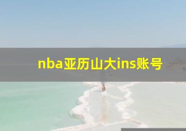 nba亚历山大ins账号