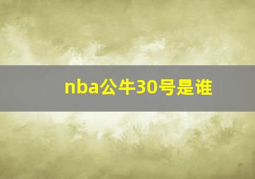 nba公牛30号是谁