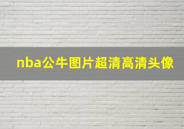 nba公牛图片超清高清头像