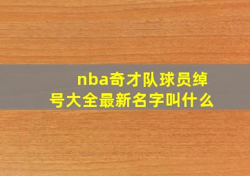 nba奇才队球员绰号大全最新名字叫什么