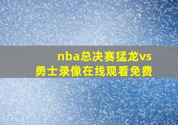 nba总决赛猛龙vs勇士录像在线观看免费