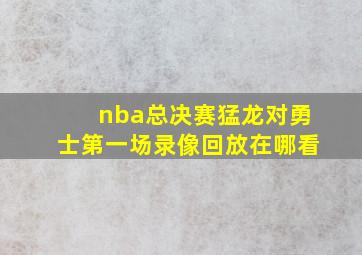 nba总决赛猛龙对勇士第一场录像回放在哪看