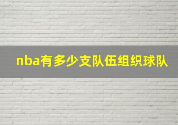 nba有多少支队伍组织球队