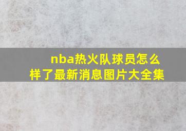 nba热火队球员怎么样了最新消息图片大全集