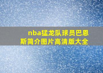 nba猛龙队球员巴恩斯简介图片高清版大全