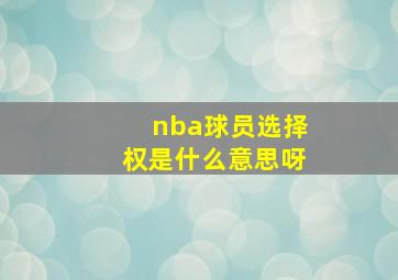 nba球员选择权是什么意思呀