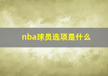 nba球员选项是什么