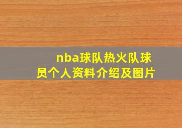 nba球队热火队球员个人资料介绍及图片