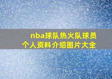 nba球队热火队球员个人资料介绍图片大全