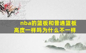 nba的篮板和普通篮板高度一样吗为什么不一样