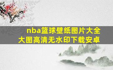 nba篮球壁纸图片大全大图高清无水印下载安卓