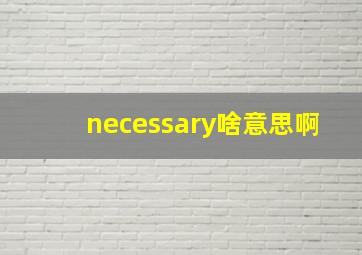 necessary啥意思啊