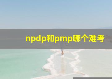 npdp和pmp哪个难考