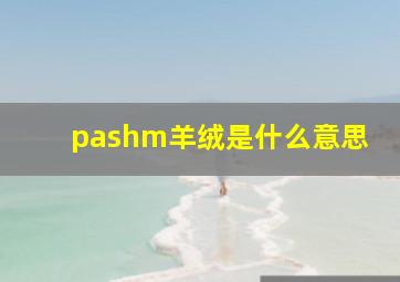 pashm羊绒是什么意思