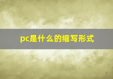 pc是什么的缩写形式