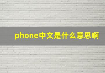 phone中文是什么意思啊