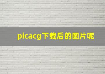 picacg下载后的图片呢