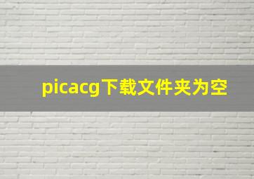 picacg下载文件夹为空