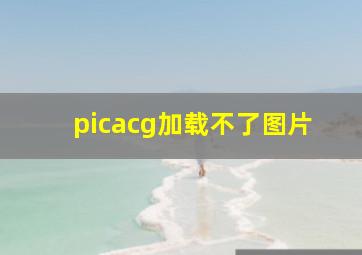 picacg加载不了图片