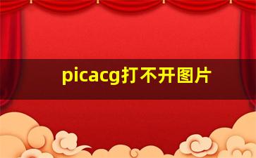 picacg打不开图片