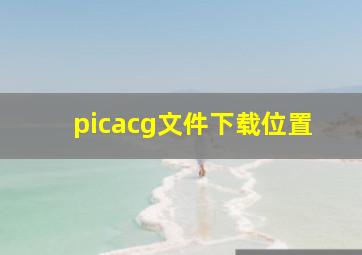 picacg文件下载位置