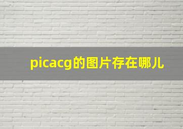 picacg的图片存在哪儿