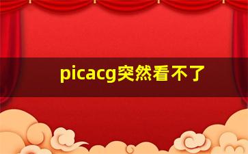 picacg突然看不了