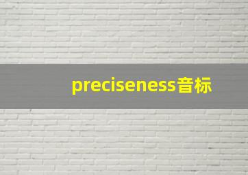 preciseness音标