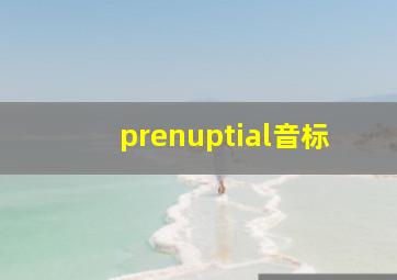 prenuptial音标