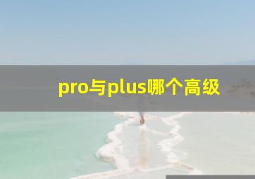 pro与plus哪个高级