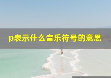 p表示什么音乐符号的意思