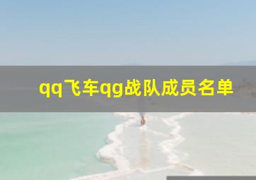 qq飞车qg战队成员名单