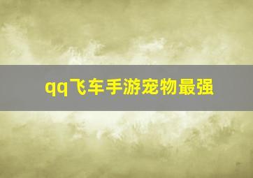 qq飞车手游宠物最强