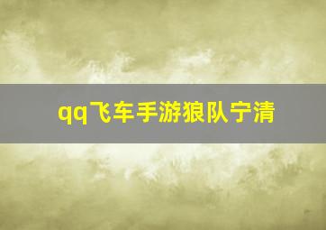 qq飞车手游狼队宁清