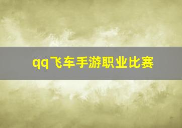 qq飞车手游职业比赛