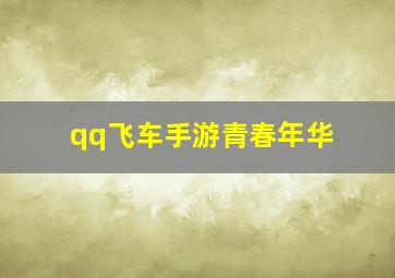 qq飞车手游青春年华