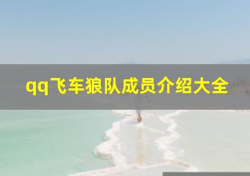 qq飞车狼队成员介绍大全