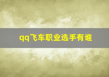 qq飞车职业选手有谁