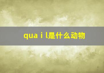 quaⅰl是什么动物