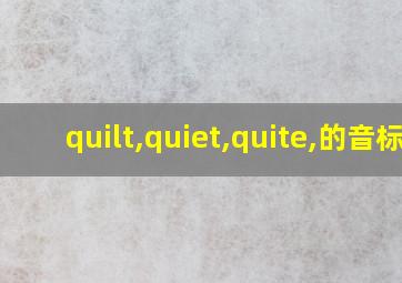 quilt,quiet,quite,的音标