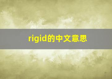 rigid的中文意思