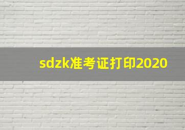 sdzk准考证打印2020