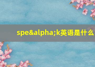 speαk英语是什么