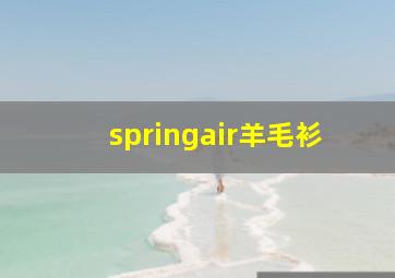 springair羊毛衫