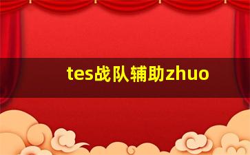 tes战队辅助zhuo