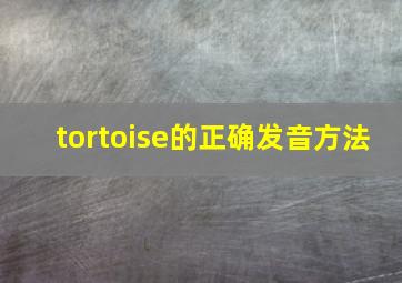 tortoise的正确发音方法