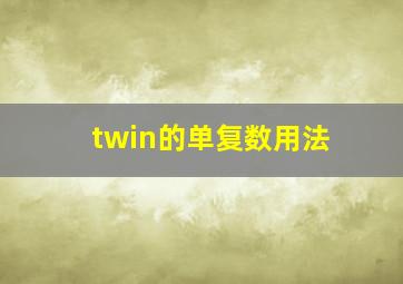 twin的单复数用法