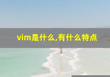 vim是什么,有什么特点