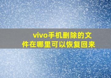 vivo手机删除的文件在哪里可以恢复回来